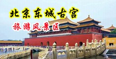 骚逼美女被操的一直喷水中国北京-东城古宫旅游风景区